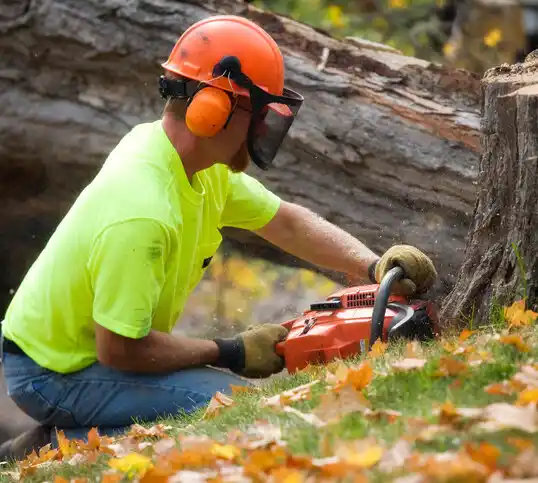 tree services Arlington